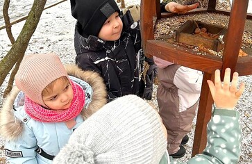 Пернатые соседи